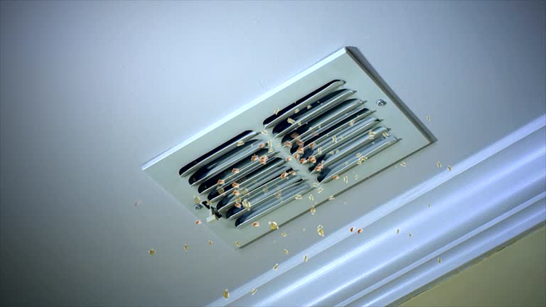 Best Commercial Air Duct Cleaning  in Ashland, AL