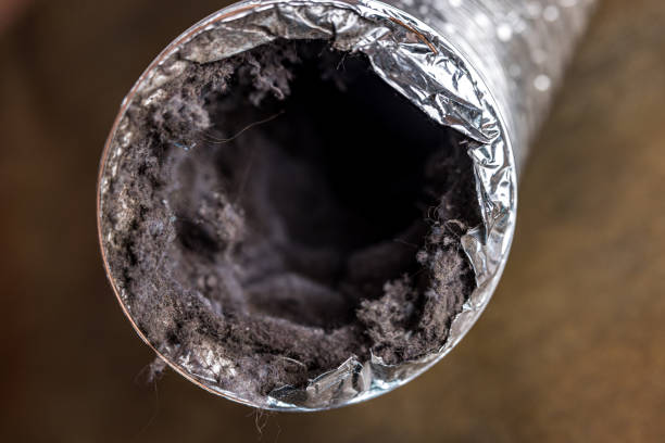 Best Air Vent Cleaning Services  in Ashland, AL