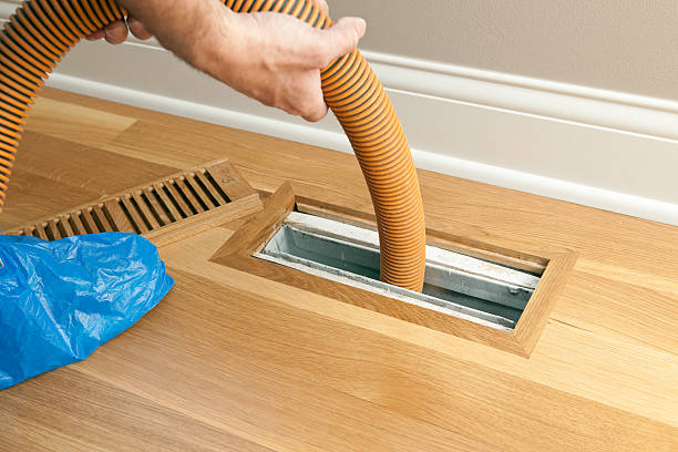Best Professional Duct Cleaning Services  in Ashland, AL