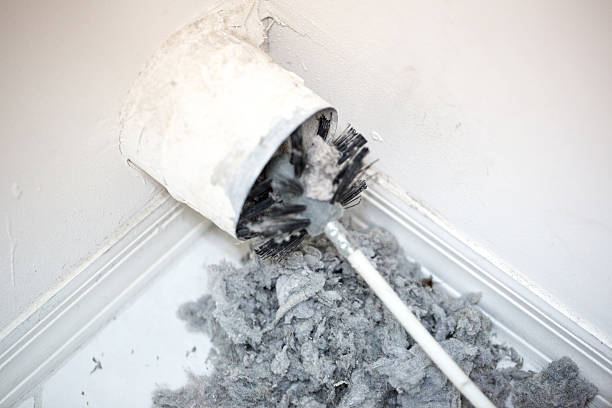 Best Affordable Air Duct Cleaning  in Ashland, AL